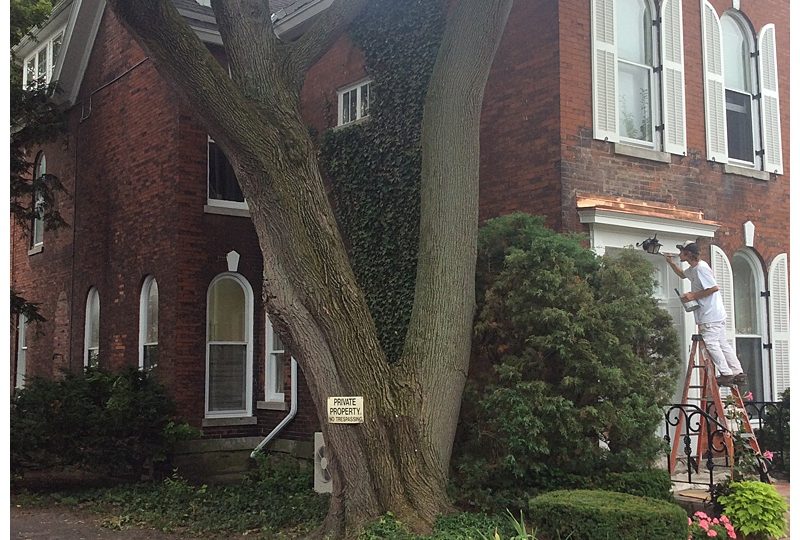 brick house has professional painters updating trim color
