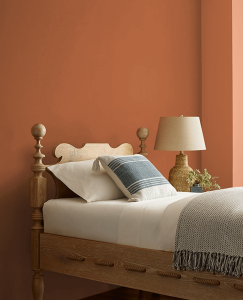 Sherwin Williams Copper Mountain Paint Idea-Paint of WNY